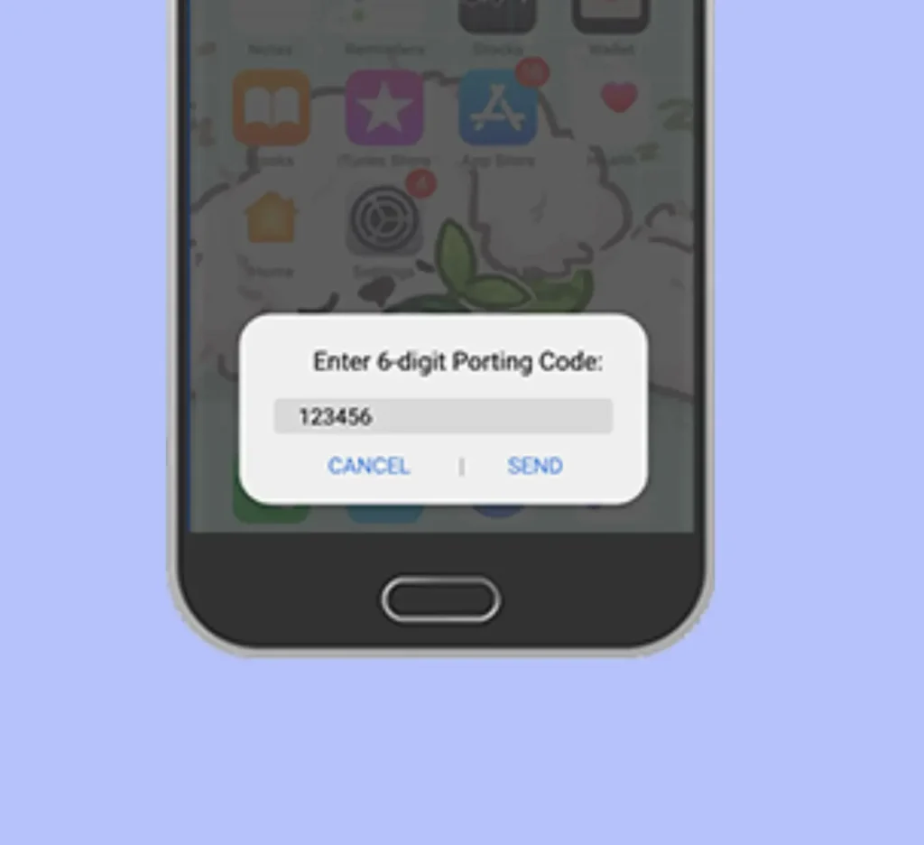 6-digit porting code